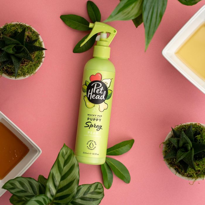 Pet Head Mucky Puppy Spray Limpiador para Cachorros 300ml 0 Pet Head Mucky Puppy Spray Limpiador para Cachorros 300ml 0