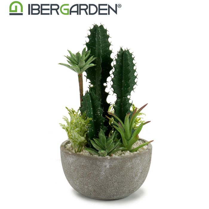 Ibergarden Centro Cactus Redondo Surtido 15.5x15.5x29 cm Plastico Ceramica (Set de 6) 2