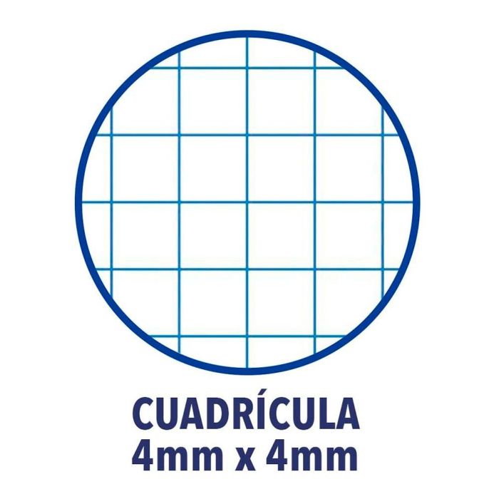 Enri Cuaderno Tapa Blanda Espiral DIN A5 Cuadriculado 4x4mm Colores Surtidos 15,5x21,5cm 1