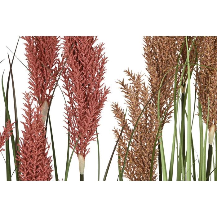 Planta DKD Home Decor Marron Claro Rojo 35 x 120 x 35 cm (2 Unidades) 3 Planta DKD Home Decor Marron Claro Rojo 35 x 120 x 35 cm (2 Unidades) 3