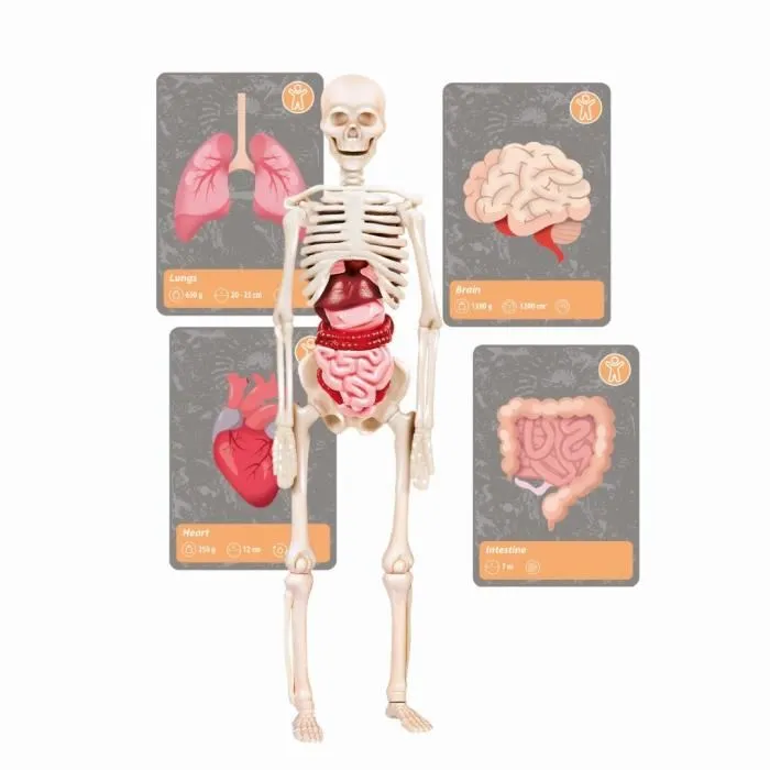 Clementoni 8005125527366 La historia de la vida en la Tierra Realidad Virtual Más de 50 experimentos Made in Italy 4