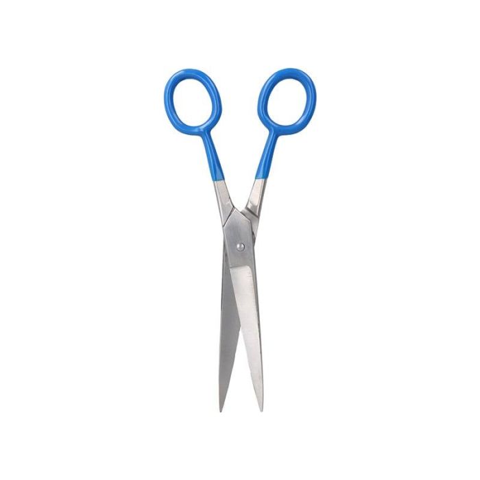 Zenish Tijera Profesional de Metal en Color Silver/Azul 7 Pulgadas