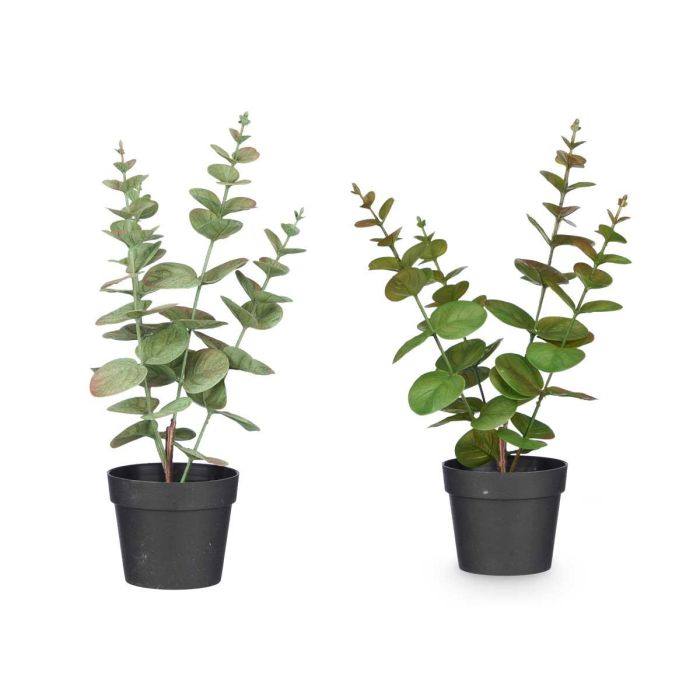 Maceta Planta Hoja Redonda Mate Brillo Surtidos Col Ibergarden 16X35CM (12 Unidades) 1 Maceta Planta Hoja Redonda Mate Brillo Surtidos Col Ibergarden 16X35CM (12 Unidades) 1