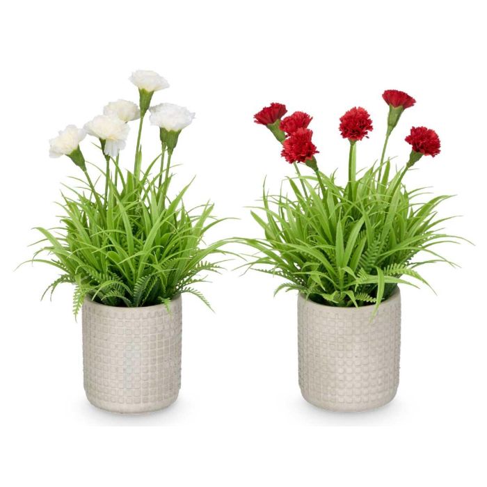 Maceta Cemento Cuadrados Claveles Surtidos Ibergarden 18x25x18cm (24 Unidades) 2 Maceta Cemento Cuadrados Claveles Surtidos Ibergarden 18x25x18cm (24 Unidades) 2