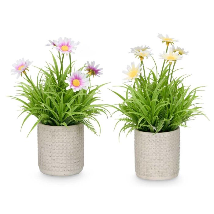 Maceta Cemento Cuadrados Margaritas Surtidos Ibergarden 16x22x16cm (24 Unidades) 1 Maceta Cemento Cuadrados Margaritas Surtidos Ibergarden 16x22x16cm (24 Unidades) 1