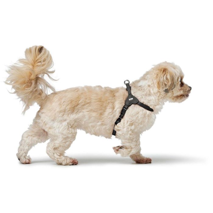 Arnés para Perro Hunter SOHO MINI Negro 3 Arnés para Perro Hunter SOHO MINI Negro 3