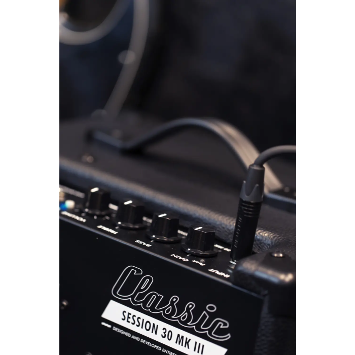 EBS Session 30 Mk3 Amplificador Bajo Combo 30W 1x8" Tweeter Bluetooth 2