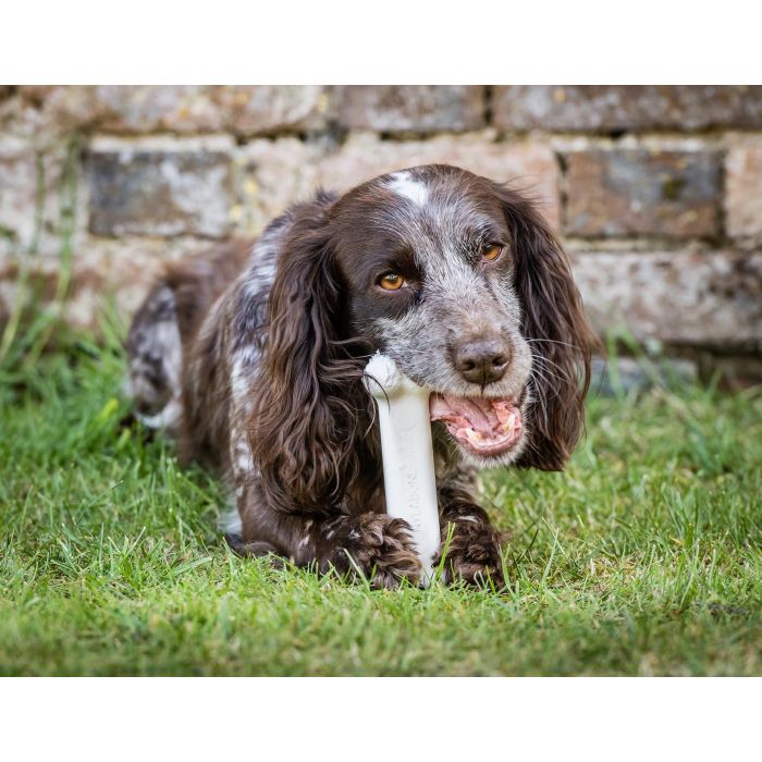 Nylabone Extreme Chew Juguete Masticable de Nylon Duradero para Perros Potentes Sabor Pollo Talla M con Limpieza Dental 3