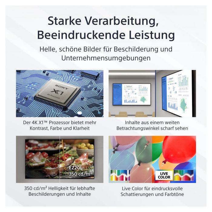 Sony FW-75EZ20L Pantalla LED 75" 4K para señalización digital 16/7 Wifi 14