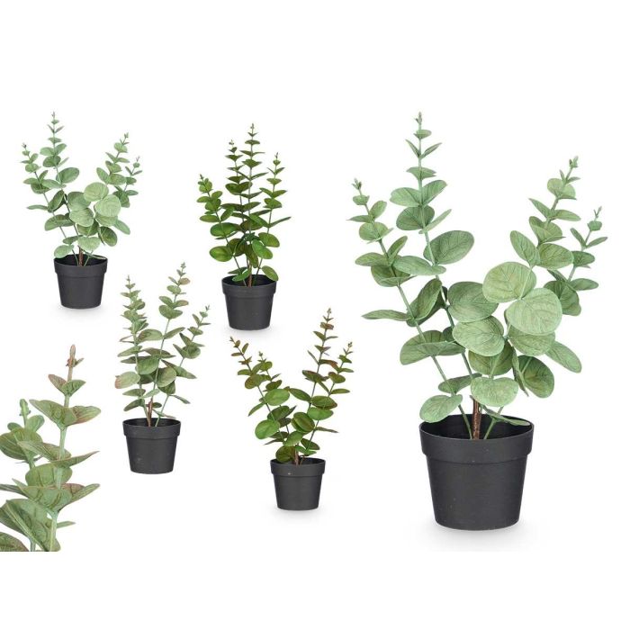 Maceta Planta Hoja Redonda Mate Brillo Surtidos Col Ibergarden 16X35CM (12 Unidades) Maceta Planta Hoja Redonda Mate Brillo Surtidos Col Ibergarden 16X35CM (12 Unidades)
