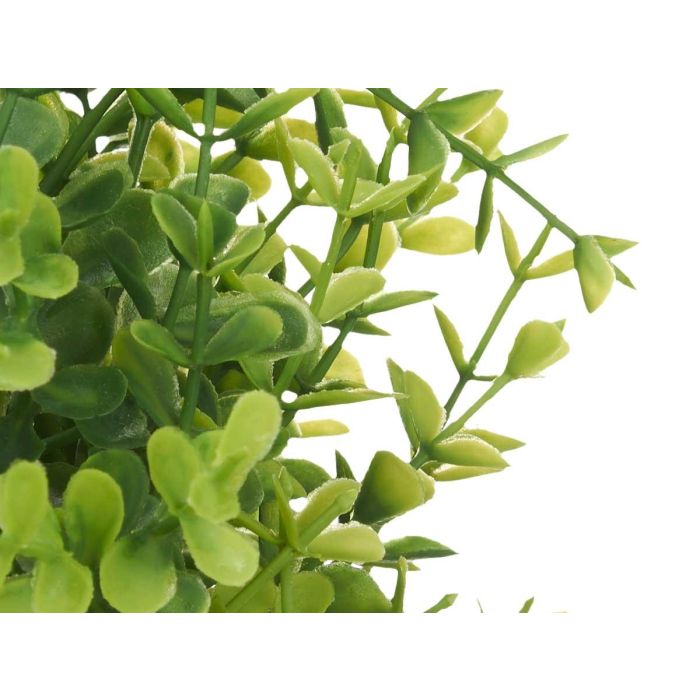 Planta Grande Verde Hojas Pequeñas Maceta Blanca Ibergarden 23x23x36cm (6 Unidades) 2 Planta Grande Verde Hojas Pequeñas Maceta Blanca Ibergarden 23x23x36cm (6 Unidades) 2