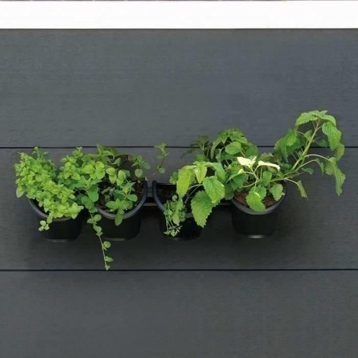 Jardinera de pared - Kit de pared compuesto por soporte de pared y 4 maceteros (1 L) - Negro - Dim A 15 x L 60 cm - NATURE 1