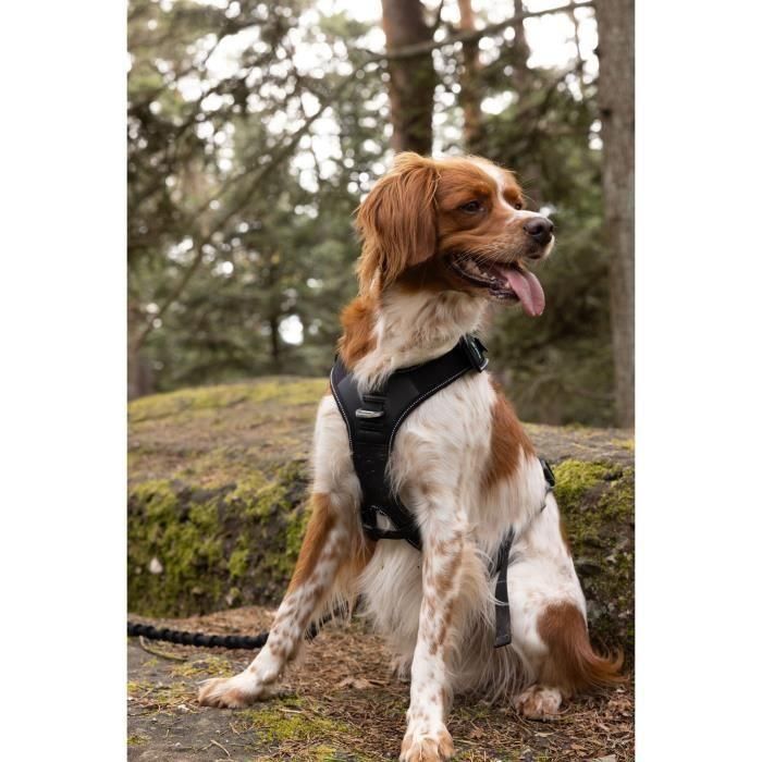 Cani C Gear AUC3760402170325 Arnés para perros SYMBIOZ Talla L Negro y Azul 4 Cani C Gear AUC3760402170325 Arnés para perros SYMBIOZ Talla L Negro y Azul 4