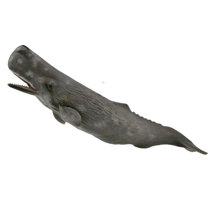 Collecta 88835 Cachalote XL Figura de Animal Marino Versión Mejorada con Piel Rugosa y Manchas Blancas para Niños +3 Años Collecta 88835 Cachalote XL Figura de Animal Marino Versión Mejorada con Piel Rugosa y Manchas Blancas para Niños +3 Años