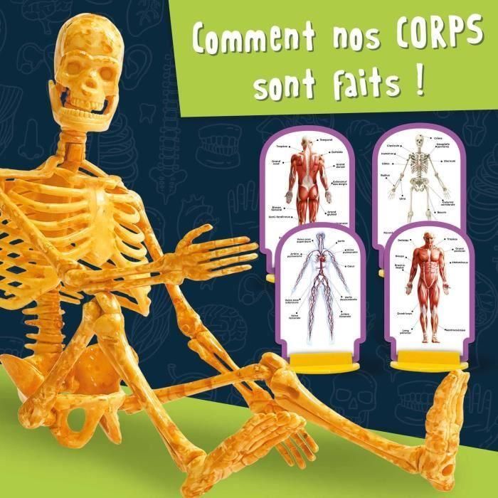 Descubrimiento del cuerpo humano - Kit científico - I'M A GENIUS POCKET - Modelo 3D 2 Descubrimiento del cuerpo humano - Kit científico - I'M A GENIUS POCKET - Modelo 3D 2