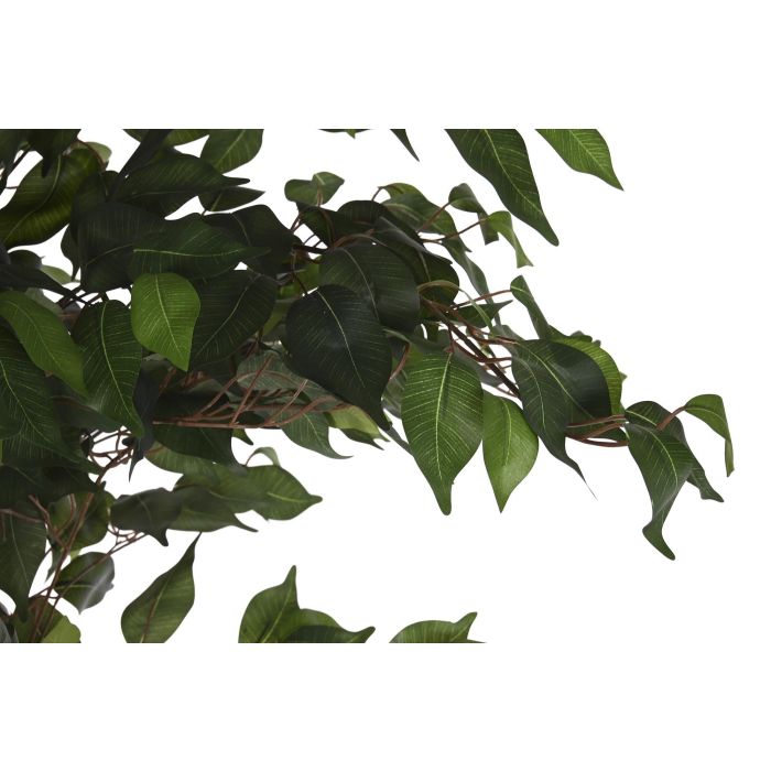 DKD Home Decor Árbol Higuera de Bengala Verde 90 x 180 x 90 cm (2 Unidades) 1