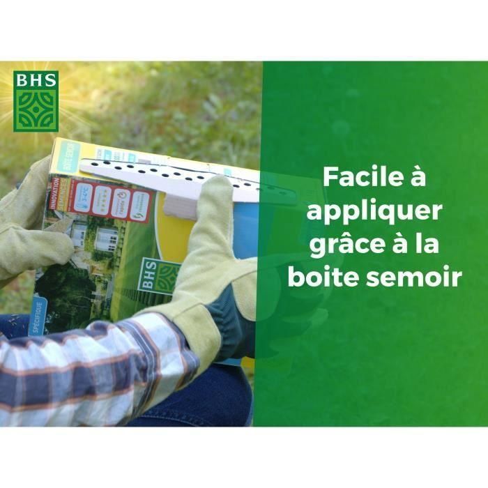 Césped - BHS - Sun Lawn 1kg | Resistente al clima mediterráneo y a la sequía. 2 Césped - BHS - Sun Lawn 1kg | Resistente al clima mediterráneo y a la sequía. 2