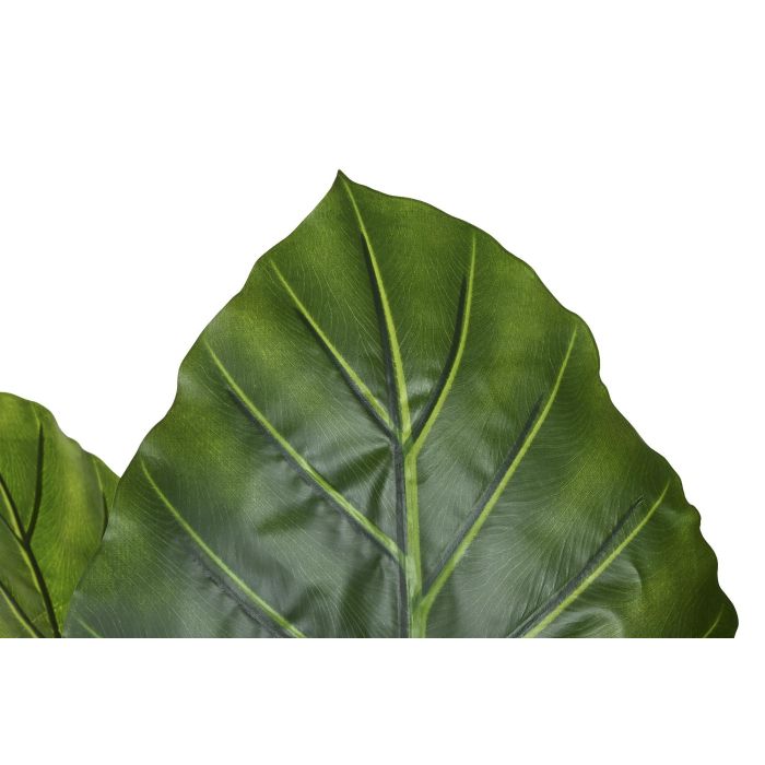 Planta Tropical DKD Home Decor Verde 80 x 180 x 80 cm (2 Unidades) 1 Planta Tropical DKD Home Decor Verde 80 x 180 x 80 cm (2 Unidades) 1