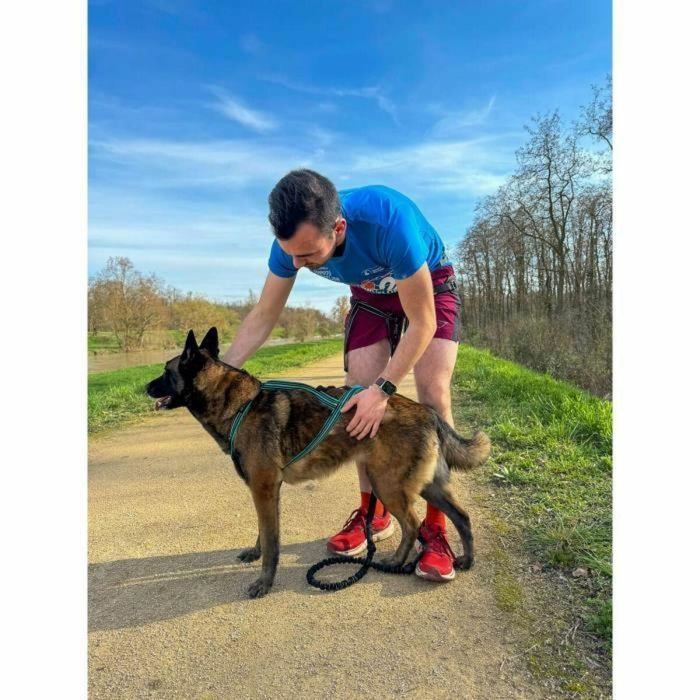 Cani C Gear Arnés de tracción para perros Tipo X-back Azul Talla S AUC3760402170370 2