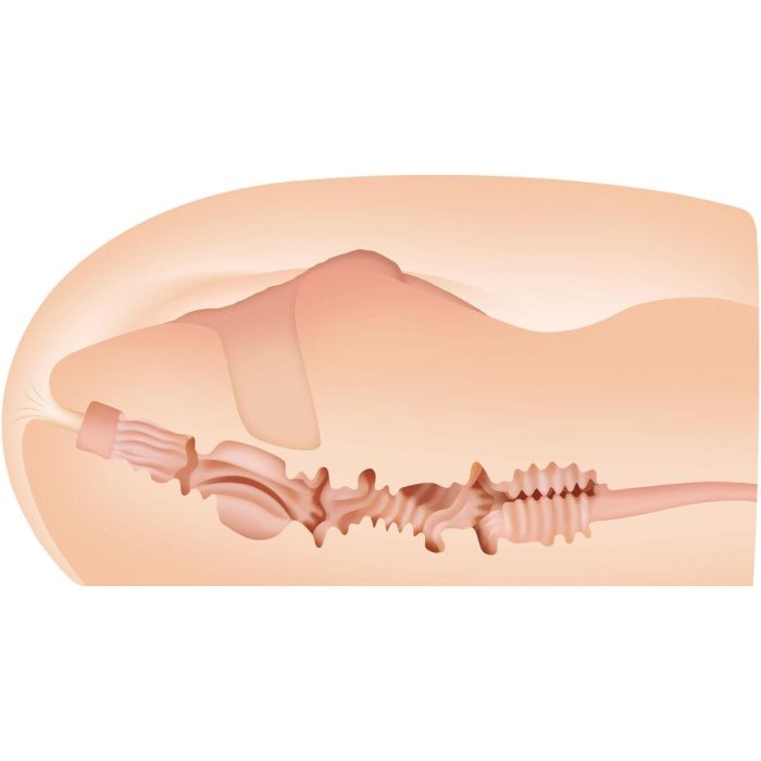 Masturbador Masculino Zero Tolerance Zero Tolerance Carne 19 Masturbador Masculino Zero Tolerance Zero Tolerance Carne 19