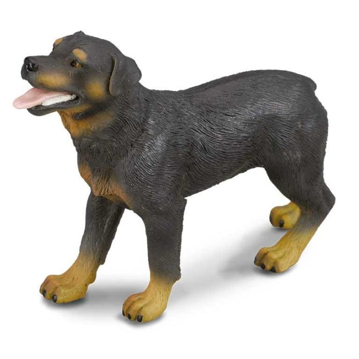 Rottweiler -L- 88189 Collecta Rottweiler -L- 88189 Collecta