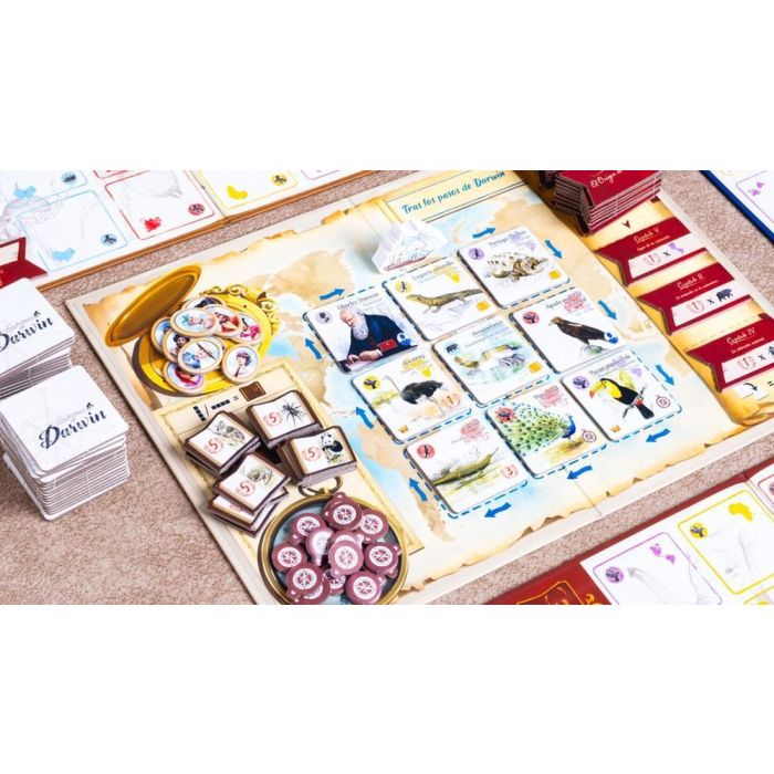 Tranjis Games Tras Los Pasos de Darwin - Juego de Mesa Familiar de Estrategia y Aventura Educativa para 2 a 5 Jugadores a Partir de 8 Años