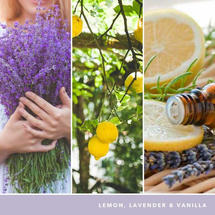 Vela Perfumada Yankee Candle 1629970E Morado 12 Vela Perfumada Yankee Candle 1629970E Morado 12