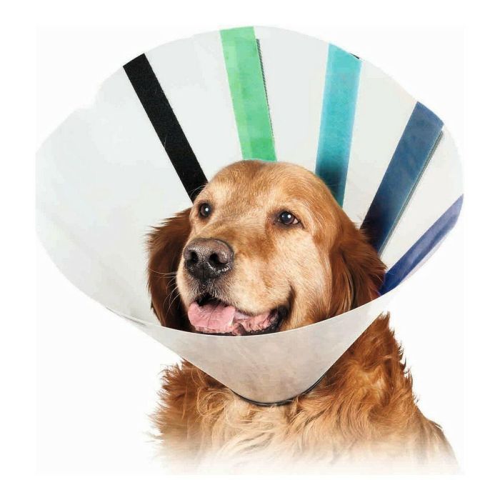 KVP Collar Isabelino Ez Clear Transparente con Velcro y Borde Acolchado 32-39 cm Cuello x 23 cm Profundidad KVP Collar Isabelino Ez Clear Transparente con Velcro y Borde Acolchado 32-39 cm Cuello x 23 cm Profundidad