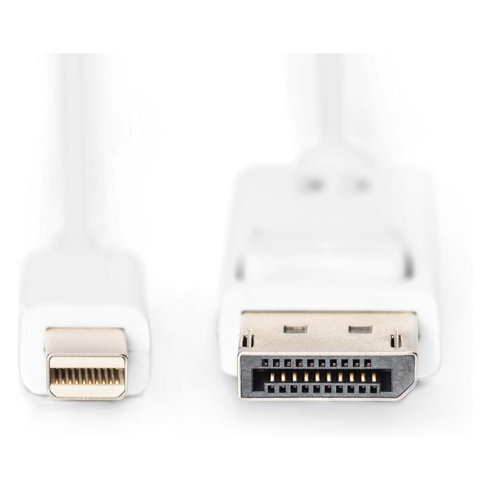 Digitus MiniDP -> DPort Cable DisplayPort 2m Macho/Macho Blanco 1