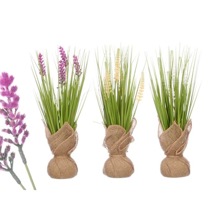 Ibergarden Ramilletes Saco Espigas Surtidos 10 cm x 41 cm x 10 cm Plástico Rafia (Set de 6) Ibergarden Ramilletes Saco Espigas Surtidos 10 cm x 41 cm x 10 cm Plástico Rafia (Set de 6)