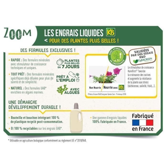 Fertilizante para plantas KB 250 ml Orquídea 1