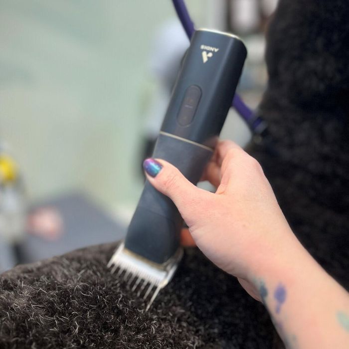 Cortapelos para mascotas Andis BESPOKE Negro 2 Cortapelos para mascotas Andis BESPOKE Negro 2