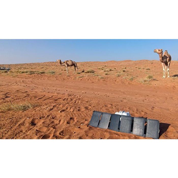Sandberg Solar Charger 40W QC3.0+PD+DC 8