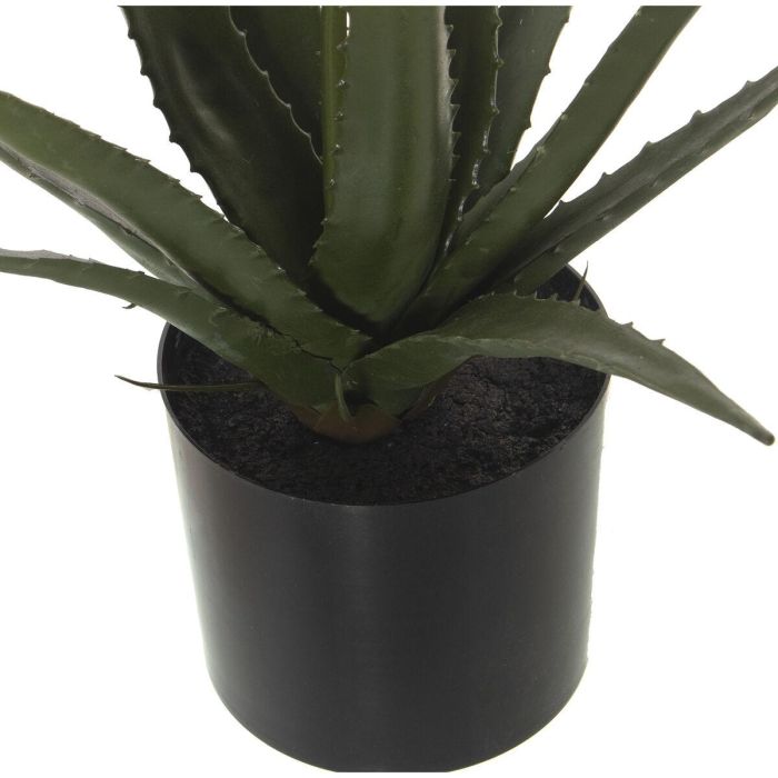 Planta Decorativa Alexandra House Living Plástico Aloe Vera 11 x 11 x 39 cm 2