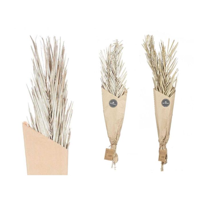 Ramillete Hojas Palmera Surt Blanco y Natural Giftdecor 20x100x4 cm (20 Unidades) 2 Ramillete Hojas Palmera Surt Blanco y Natural Giftdecor 20x100x4 cm (20 Unidades) 2