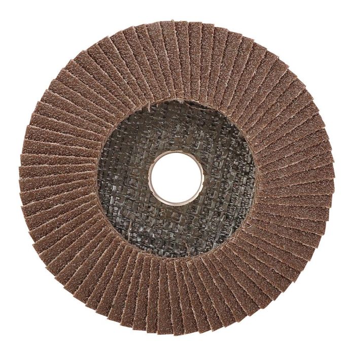 Workpro Disco de Láminas Plano Óxido de Aluminio T27, Ø100 x 16 mm, Grano 80, para Acero Endurecido y Aleado 1