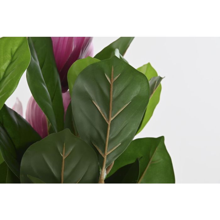 Planta DKD Home Decor Verde Rosa 60 x 125 x 60 cm 3 Planta DKD Home Decor Verde Rosa 60 x 125 x 60 cm 3