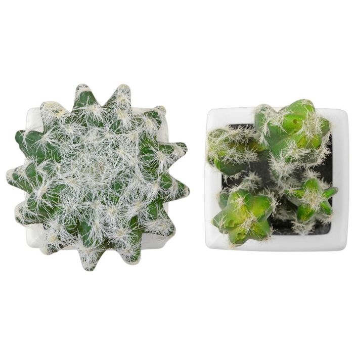 Day Cactus Artificial Maceta Plástico Mate Formas Surtidas Alto Redondo H 17 Cm H 13 Cm Maceta 7 5x7 5 Cm H 6 Cm 4 Day Cactus Artificial Maceta Plástico Mate Formas Surtidas Alto Redondo H 17 Cm H 13 Cm Maceta 7 5x7 5 Cm H 6 Cm 4