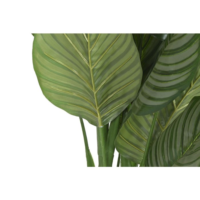 Planta Tropical DKD Home Decor Verde 80 x 120 x 80 cm (2 Unidades) 2 Planta Tropical DKD Home Decor Verde 80 x 120 x 80 cm (2 Unidades) 2