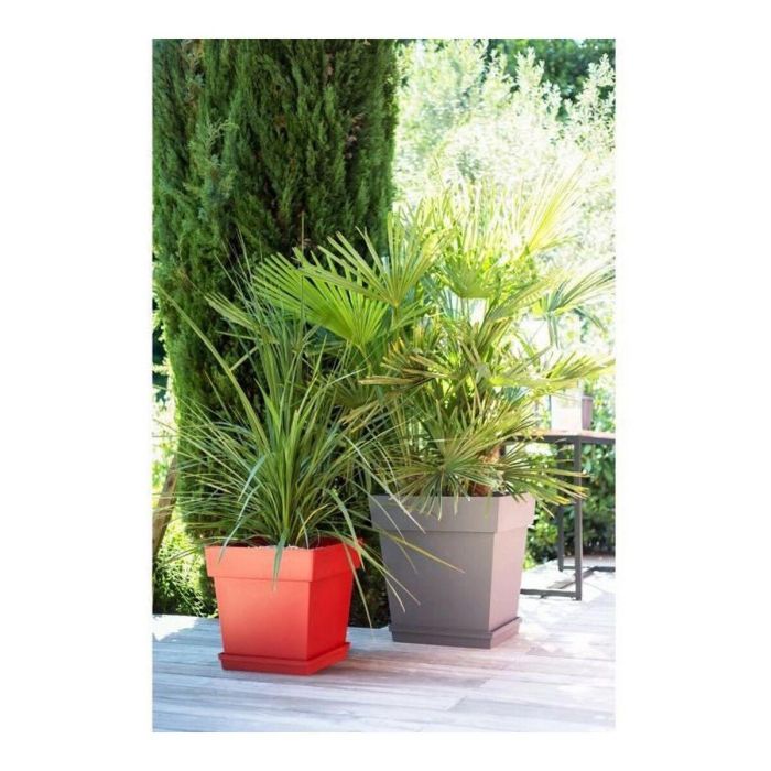 EDA Maceta Cuadrada Toscana 50 cm - 87 L - Taupe | Anti-UV, Resistente a Heladas, Con Retención de Agua | Para Interior y Exterior 1