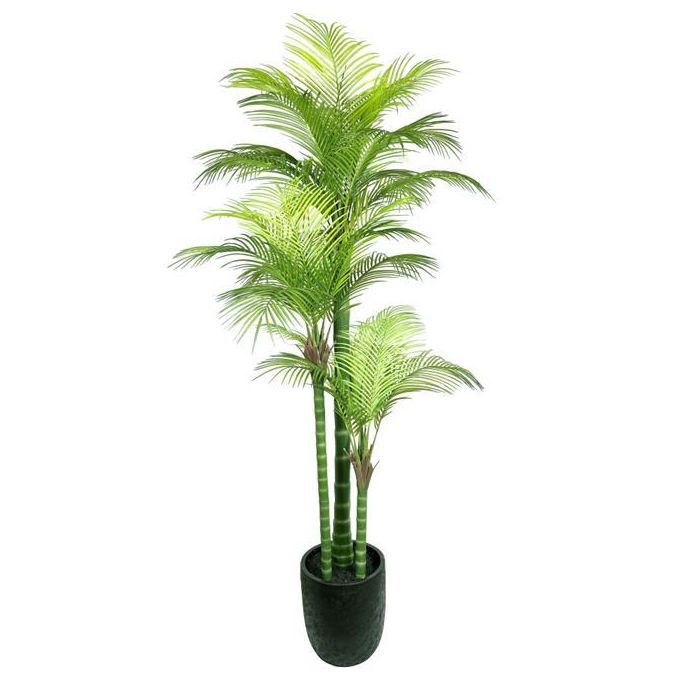 Planta Terraza Y Jardin DKD Home Decor Verde 100 x 235 x 100 cm