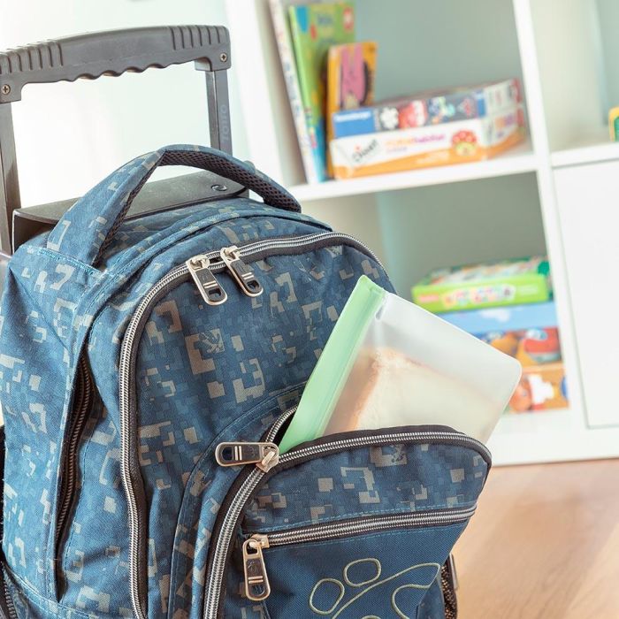 Innovagoods V0103189 Bolsas Reutilizables Herméticas Zags 6 Piezas 3 Tamaños: 2 Grandes, 2 Medianas, 2 Pequeñas 9