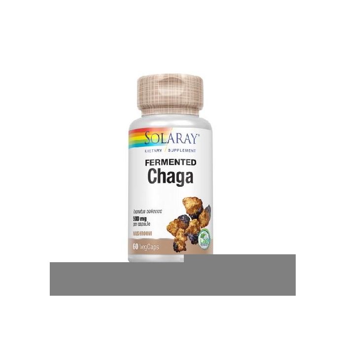 Chaga Fermented Mushroom