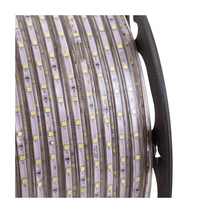 Tira de 60 LEDs/M 480W 24.000Lm 6000ºK SMD3528 220VAC IP65 x100M 40.000H  [HO-2203528-60-100MCW] 2