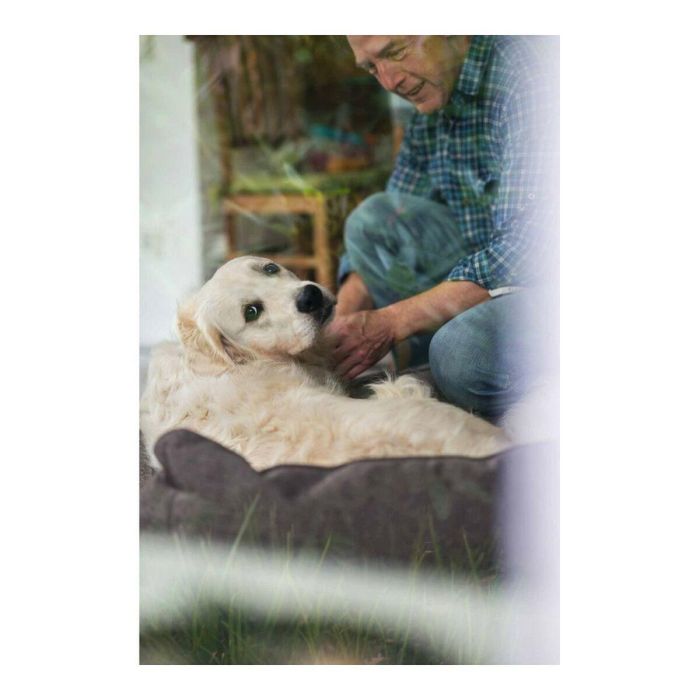 Sofá para Perro Hunter Boston Marrón (60 x 50 cm) 2 Sofá para Perro Hunter Boston Marrón (60 x 50 cm) 2