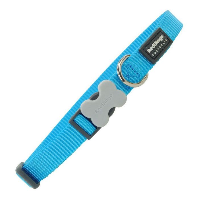 Collar Perro Rd Liso Turquesa 20 mm X 31-47 cm