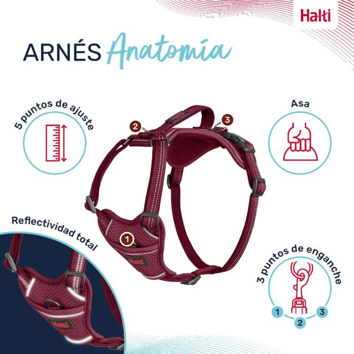 Halti Anatomy Arnés Burdeos S Cuerpo 39-56 cm 1 Halti Anatomy Arnés Burdeos S Cuerpo 39-56 cm 1
