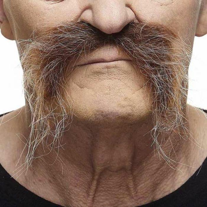 Bigote My Other Me Marrón Bigote My Other Me Marrón