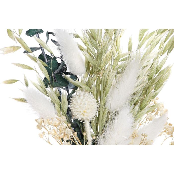 DKD Home Decor Juego 2 Unidades Decoración Shabby Chic Beige Verde, Adornos de Flor Seca y MDF para Hogar, 21 cm Alto x 16 cm Ancho 1 DKD Home Decor Juego 2 Unidades Decoración Shabby Chic Beige Verde, Adornos de Flor Seca y MDF para Hogar, 21 cm Alto x 16 cm Ancho 1