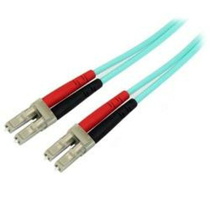Cable de Red Rígido UTP Categoría 6 Startech 450FBLCLC2 2 m 1 Cable de Red Rígido UTP Categoría 6 Startech 450FBLCLC2 2 m 1